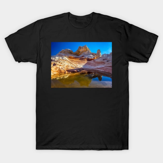 Sandstone Castle T-Shirt by algill